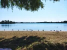 IMG_20220722_124606.webp