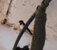 20220723_104450.webp