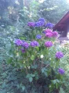 IMG_20220720_150918.webp