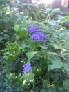 IMG_20220720_151102.webp