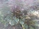 IMG_20220720_150853.webp