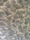 IMG_20220722_175829.webp