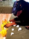 IMG_20220730_204018_100.webp