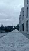6546464758-01.webp