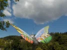 DSCN5372.webp