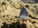 DSCN5391.webp