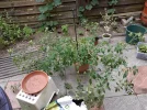 20220807_155117.webp