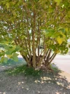 20220809_121022.webp
