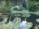 Screenshot 2022-08-11 210124.webp