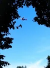 IMG_20220813_161448.webp