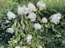 38F7AE04-D4D9-45CC-9551-96A5A010218F.webp