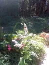 IMG_20220803_103308.webp