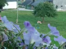 IMG_20220816_194452.webp