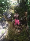 IMG-20220817-WA0003.webp