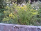 IMG_20220817_200122.webp