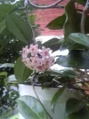 IMG_20220817_200255.webp