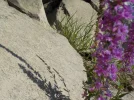 DSCN5395.webp