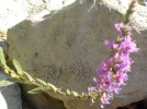 DSCN5399.JPG