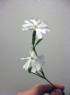 1661251510946.webp