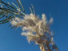 DSCN5416.webp