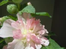 1661336661248.webp