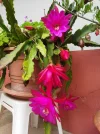 IMG_20220609_143641.webp