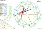!!!A Chart Mimaamo Partner.png