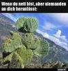 !A nett.webp