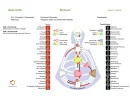 chart1661870861.webp