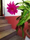 IMG_20220902_184243.jpg