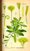 1662145221494.webp