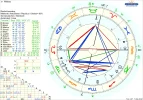 !A Chart Wildsau.png