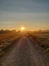 20220912_072517.webp