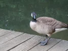 1663419094212.webp