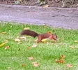 20220921_124202.webp