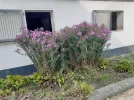 20220924_110209.webp