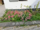 20220924_110232.webp