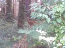 IMG_20220921_113831.webp