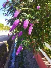 IMG_20220921_145141.webp
