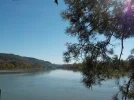 DSCN5442.webp