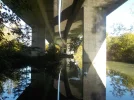DSCN5456.webp