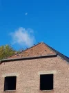 20221016_121930.jpg