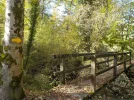 DSCN5465.webp