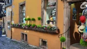 1666003530625.webp