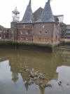 IMG_20211114_122537563.webp