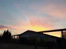 20221017_075029.webp