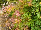 20221018_124833.webp