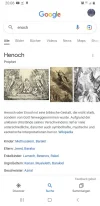 Screenshot_20221019-200638_Google.webp