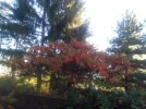 IMG_20221020_083447.webp