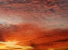 IMG20221023073338.webp